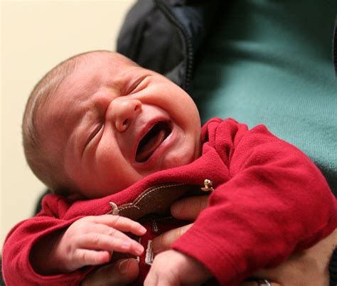 Kūdikis verkia dėl pilvo dieglių