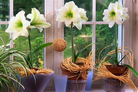 Vaikų antsvorio priežastys ir sprendimo būdai