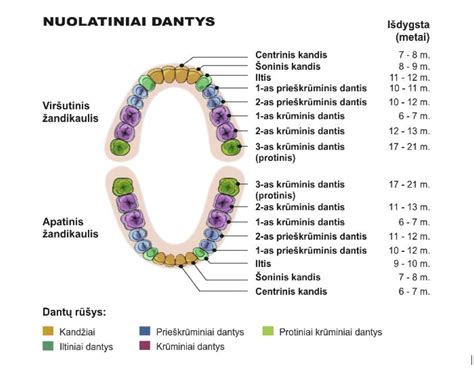 dantų ėduonies pažeistas dantis