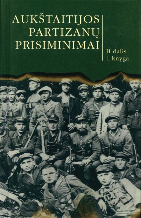 Partizanų slapyvardžių kilmės schema