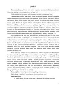 Grafikas, rodantis pagrindines dantų problemų nėštumo metu priežastis