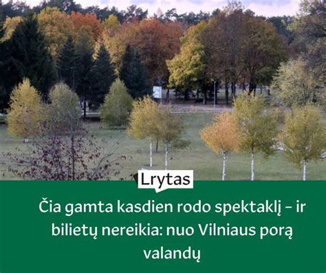 Pora besidžiaugianti gamta