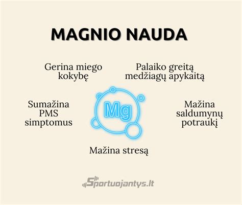 schematinis magnio vaidmuo organizme