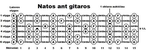 Gitaros akordai ir natos