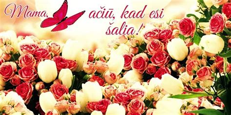 Rankomis rašytas gimtadienio atvirukas mamai