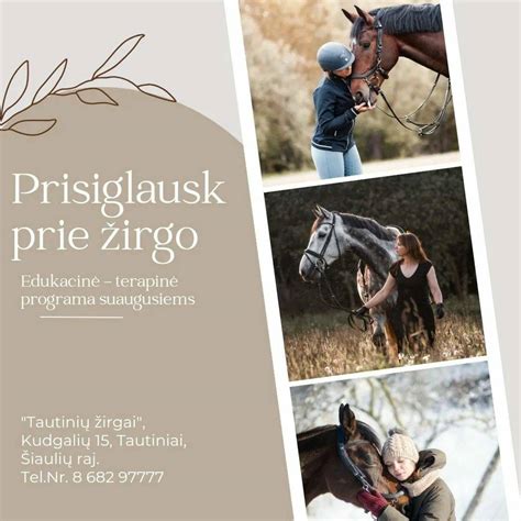 Žirgo eksterjero matavimai