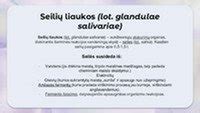 Seilių liaukų schema