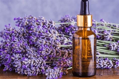 Levandų eterinio aliejaus buteliukas