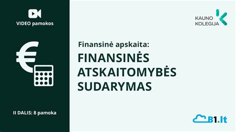 Biudžetinių įstaigų finansinės atskaitomybės schema