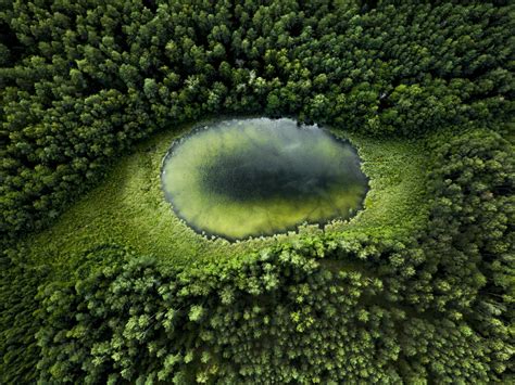 Lietuviškos gamtos peizažas