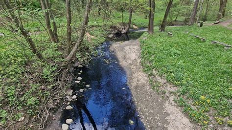 Upelis, tekantis per pievą