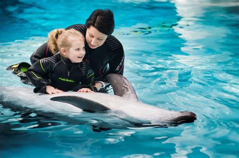 Schema, iliustruojanti delfinų terapijos naudą vaikams su negalia