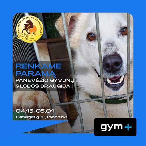 Paramos galimybės gyvūnams