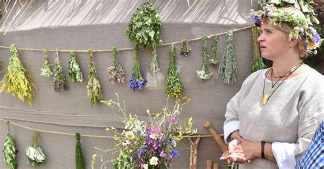 Vaistažolių rinkimas