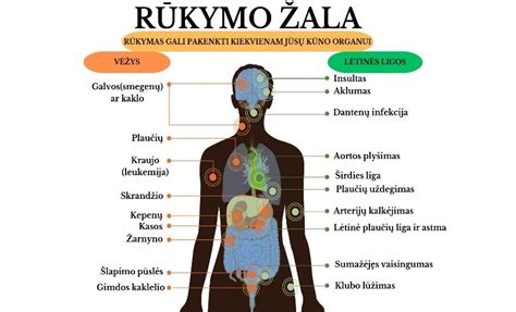 Infografika apie rūkymo žalą