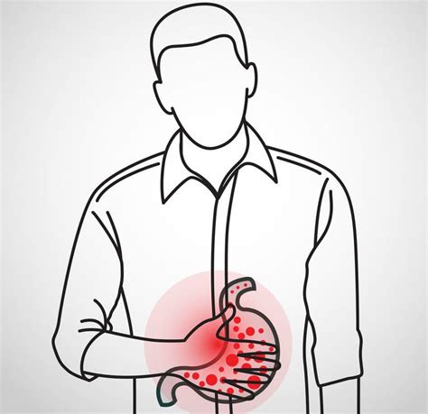 Vaisiaus plėvės ir priedai