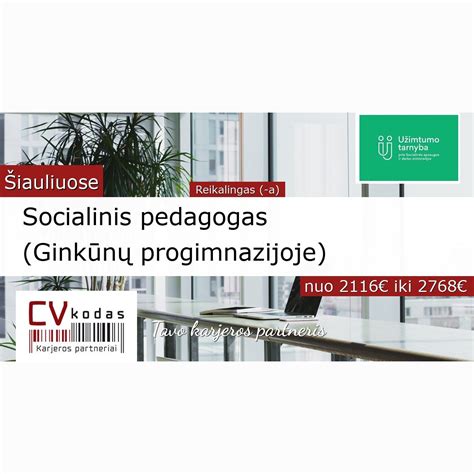 Reikalavimai globėjams (rūpintojams)