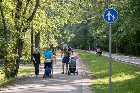 Vingio parko takai su vežimėliais