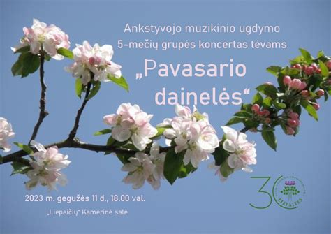 Linksma žvirblių grupė pavasario pievoje