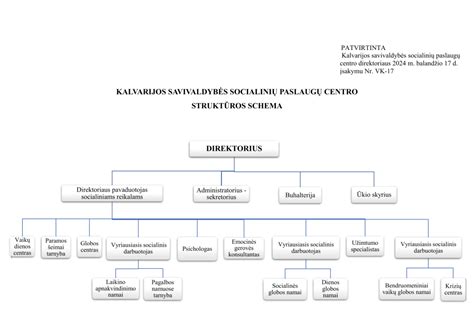Schema, iliustruojanti socialinės globos paslaugų tinklą