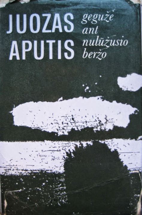 Viršelis J. Apučio knygai 
