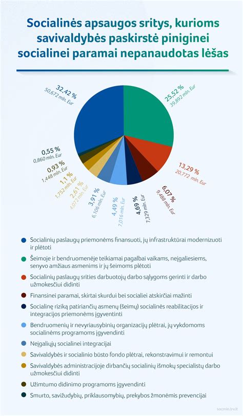 Infografika: socialinių paslaugų finansavimas