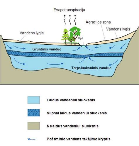Schematinis spuogų susidarymo procesas