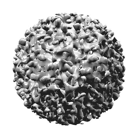 Hepatito B virusas