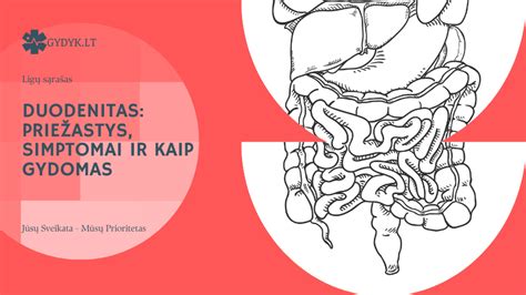 Schema, kaip atsiranda ir kaip gydomas vaginitas