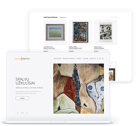 Sodros“ internetinės svetainės ekranvaizdis su prašymo pateikimo instrukcijomis