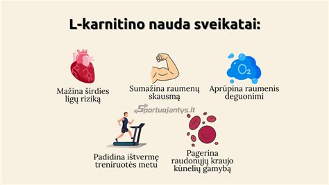 L-karnitino struktūra ir jo vaidmuo ląstelėje