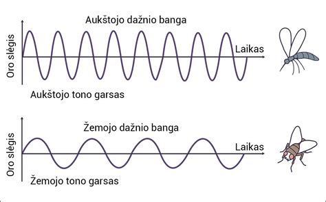 Muzikos instrumentų ir garso bangų schema