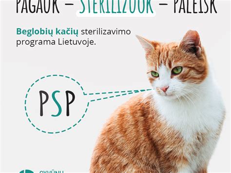 Kačių sterilizacijos programa Lietuvoje
