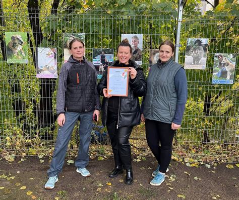 Gyvūnų globojimo organizacijų veikla Lietuvoje