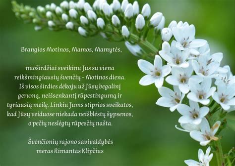 Motinos dienos šventės akimirka su šeima