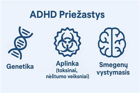 Vaizdinė schema, iliustruojanti ADHD simptomus