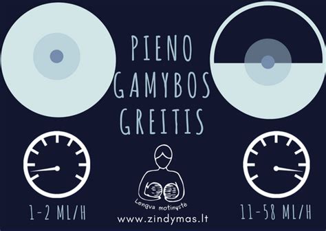 schematinis krūties pieno gamybos principas