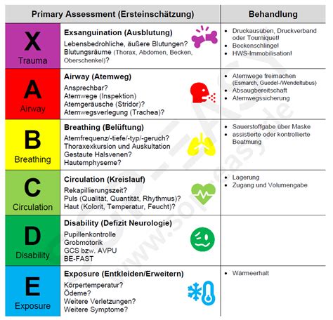 Schema: ABCDE gaivinimo principai