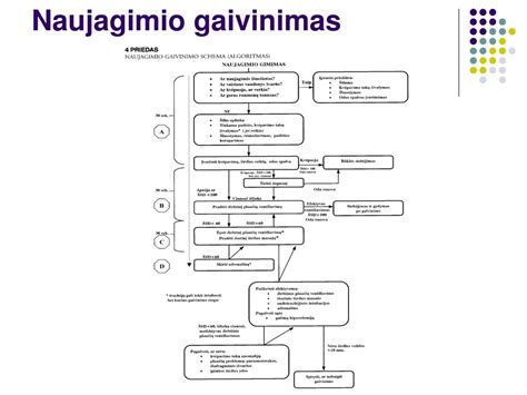 Schema: Naujagimio gaivinimo algoritmo žingsniai