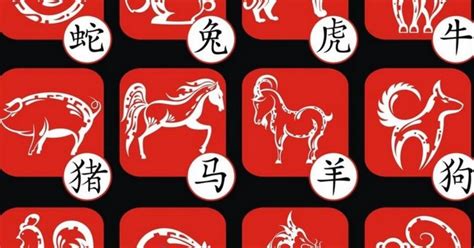 Kinų zodiako ženklai