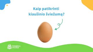 Kaip patikrinti kiaušinio šviežumą