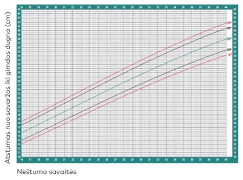Nėštumo savaitės ir gimdos dugno aukščio diagrama