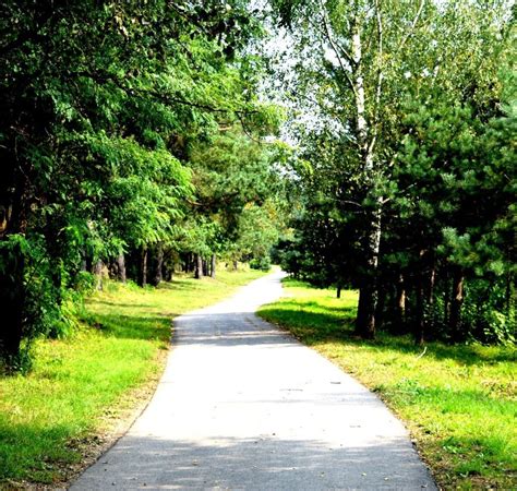 Simbolinis paveikslas: gyvenimo kelias