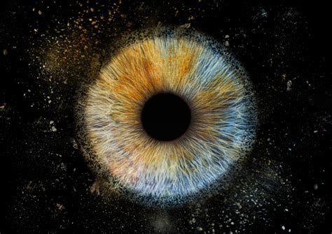 Architektės G. T. Gylytės nuotrauka