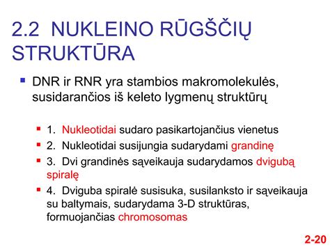 DNR grandinės tyrimas
