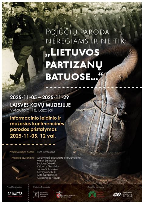 Lietuvos partizanų struktūra