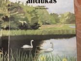 H. C. Anderseno pasakų iliustracijos