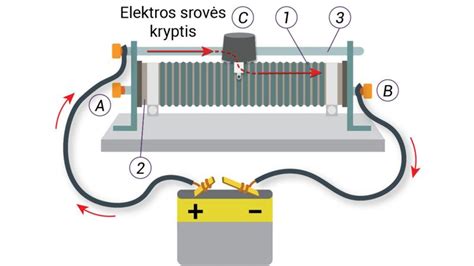 Srovės ir apvaisinimo schema