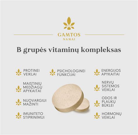 Scheminis B grupės vitaminų svarbos nervų sistemai pavaizdavimas