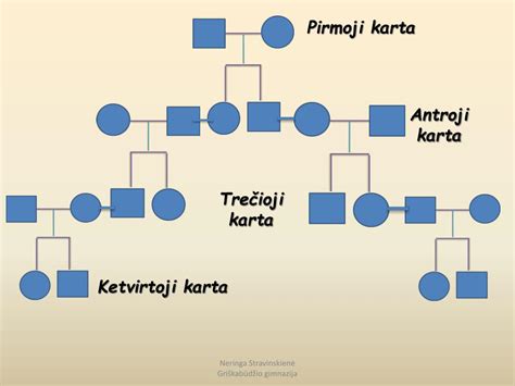 Genetinis medis, iliustruojantis paveldimumą